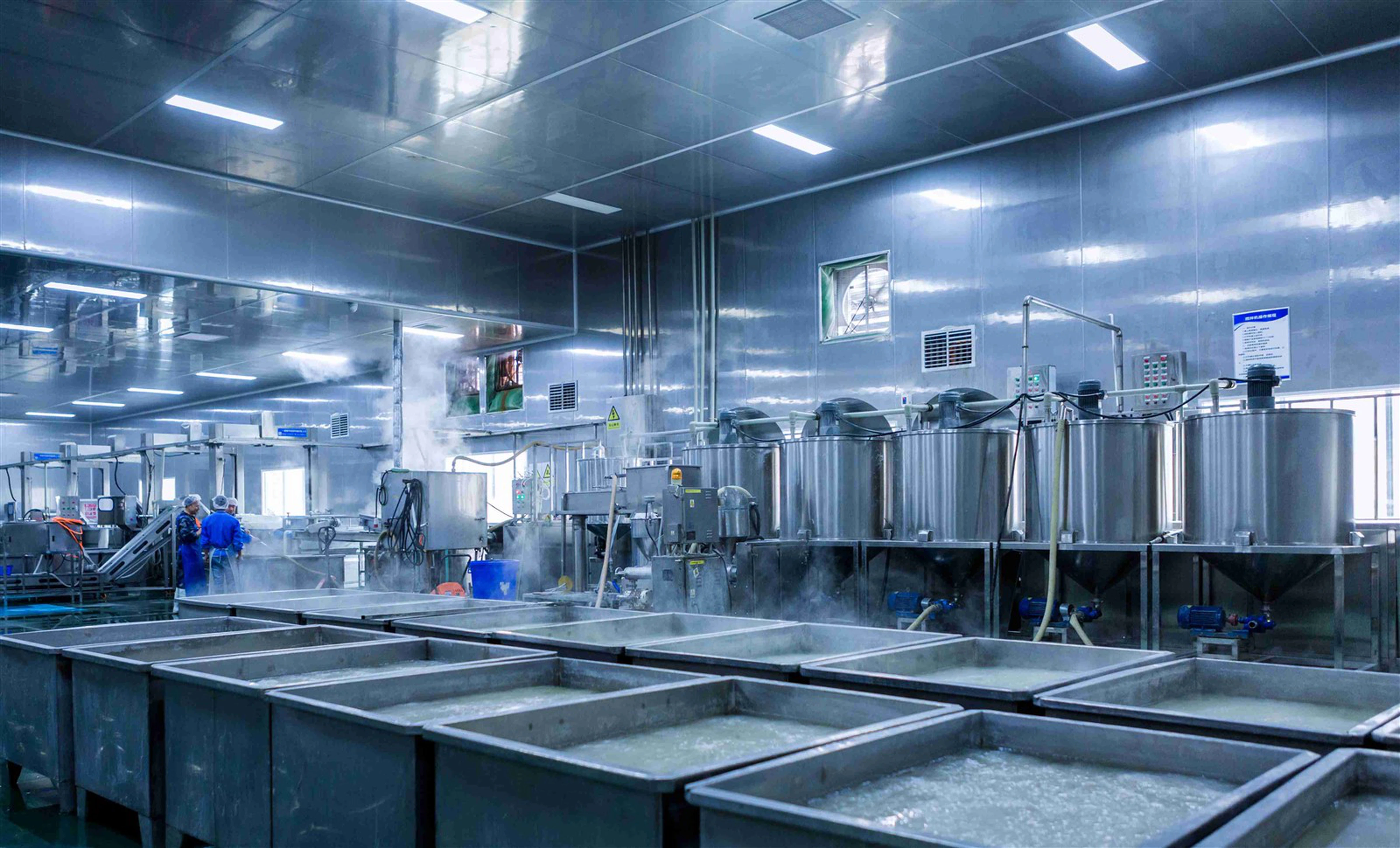 shirataki noodles produce shirataki noodles produce